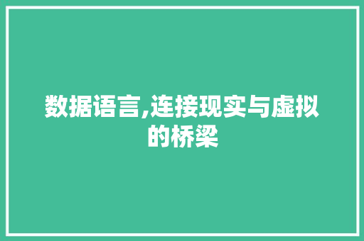 数据语言,连接现实与虚拟的桥梁