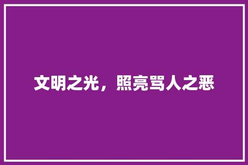 文明之光，照亮骂人之恶