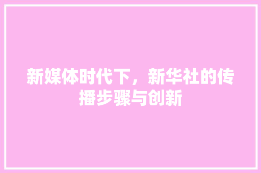 新媒体时代下，新华社的传播步骤与创新