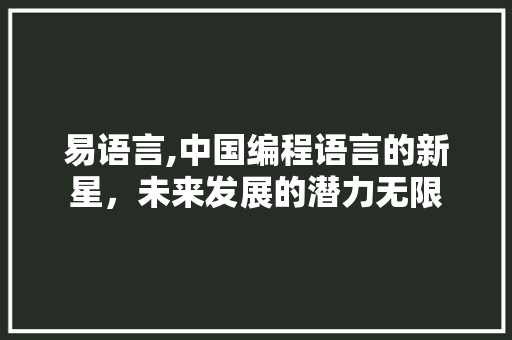 易语言,中国编程语言的新星，未来发展的潜力无限