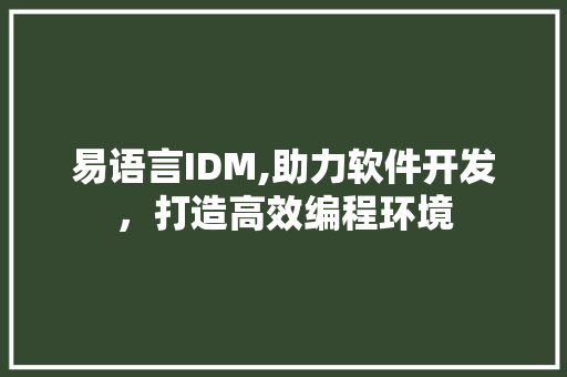 易语言IDM,助力软件开发，打造高效编程环境