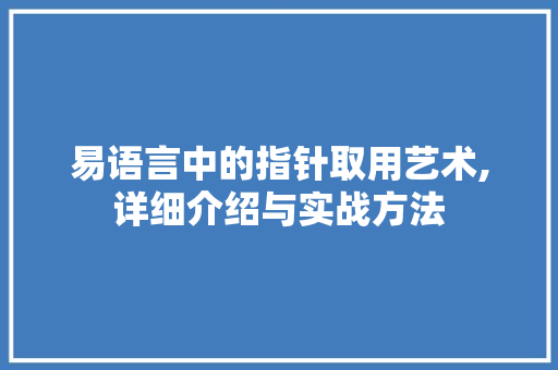 易语言中的指针取用艺术,详细介绍与实战方法