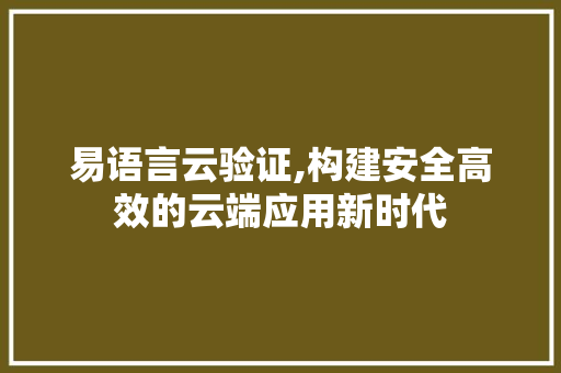 易语言云验证,构建安全高效的云端应用新时代