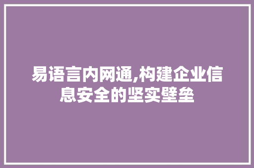 易语言内网通,构建企业信息安全的坚实壁垒