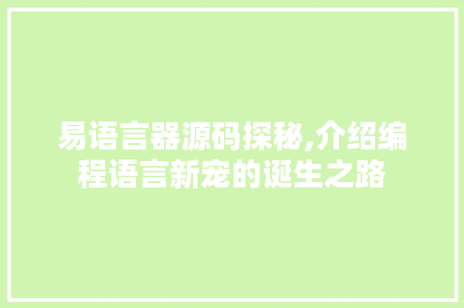 易语言器源码探秘,介绍编程语言新宠的诞生之路