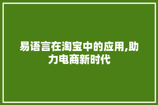 易语言在淘宝中的应用,助力电商新时代