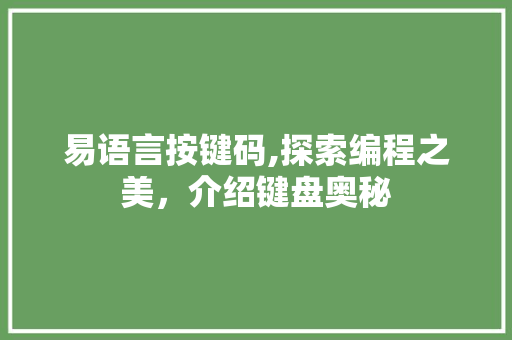 易语言按键码,探索编程之美，介绍键盘奥秘