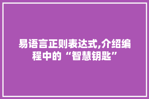 易语言正则表达式,介绍编程中的“智慧钥匙”