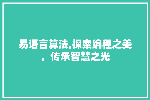 易语言算法,探索编程之美，传承智慧之光