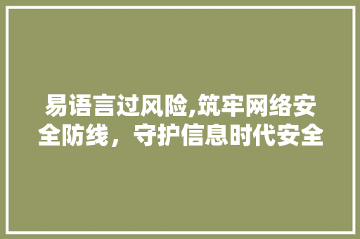 易语言过风险,筑牢网络安全防线，守护信息时代安全