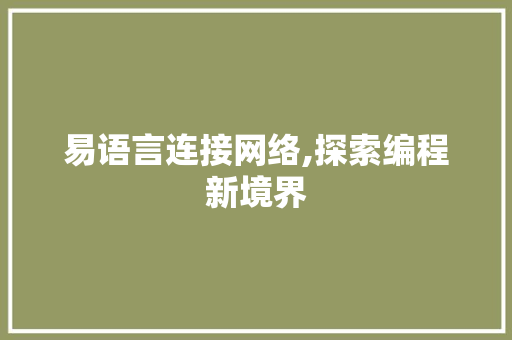 易语言连接网络,探索编程新境界