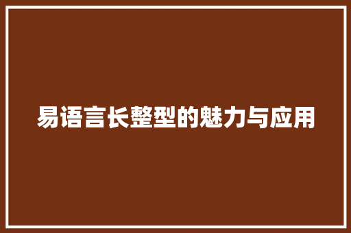 易语言长整型的魅力与应用