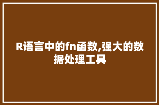 R语言中的fn函数,强大的数据处理工具