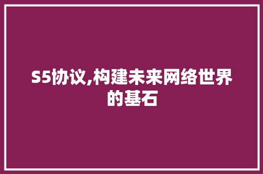 S5协议,构建未来网络世界的基石