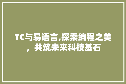 TC与易语言,探索编程之美，共筑未来科技基石