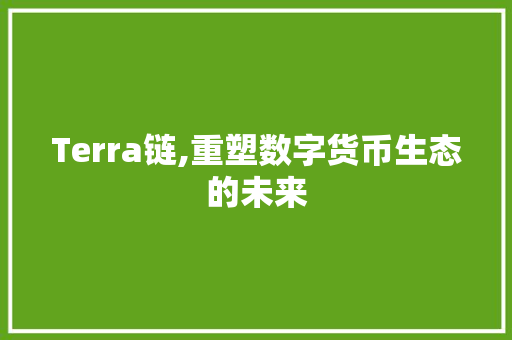 Terra链,重塑数字货币生态的未来