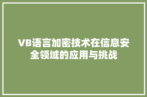 VB语言加密技术在信息安全领域的应用与挑战