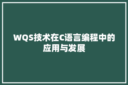 WQS技术在C语言编程中的应用与发展