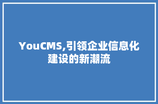 YouCMS,引领企业信息化建设的新潮流