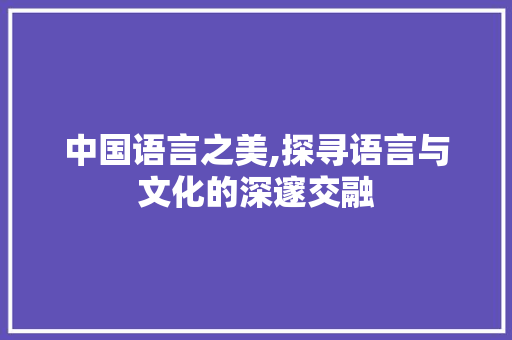 中国语言之美,探寻语言与文化的深邃交融