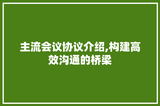 主流会议协议介绍,构建高效沟通的桥梁