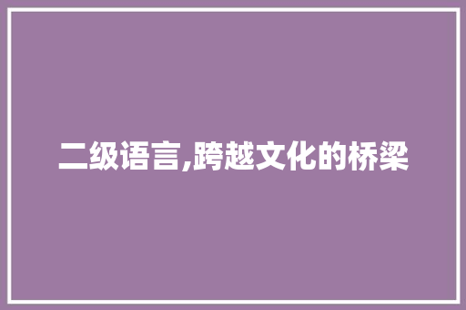 二级语言,跨越文化的桥梁