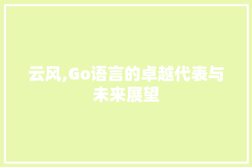 云风,Go语言的卓越代表与未来展望