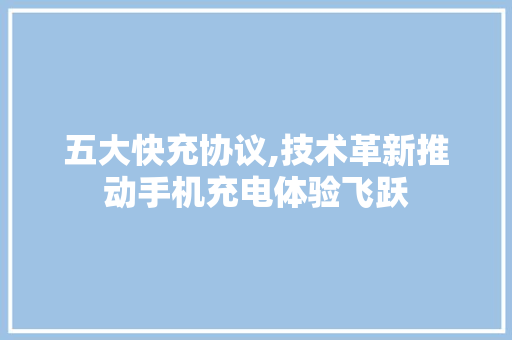 五大快充协议,技术革新推动手机充电体验飞跃