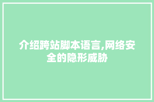 介绍跨站脚本语言,网络安全的隐形威胁