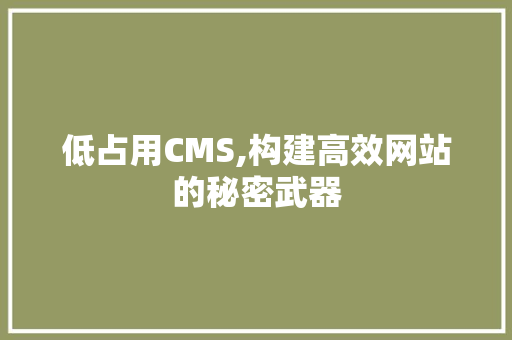 低占用CMS,构建高效网站的秘密武器