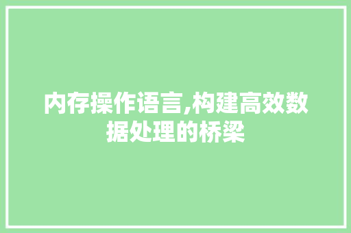 内存操作语言,构建高效数据处理的桥梁