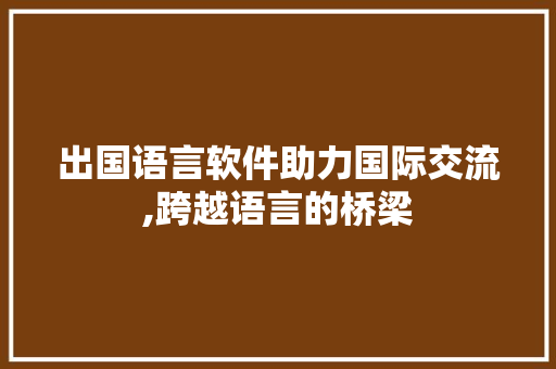 出国语言软件助力国际交流,跨越语言的桥梁