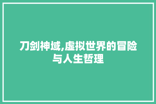 刀剑神域,虚拟世界的冒险与人生哲理