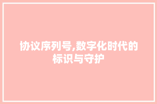 协议序列号,数字化时代的标识与守护