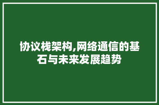 协议栈架构,网络通信的基石与未来发展趋势