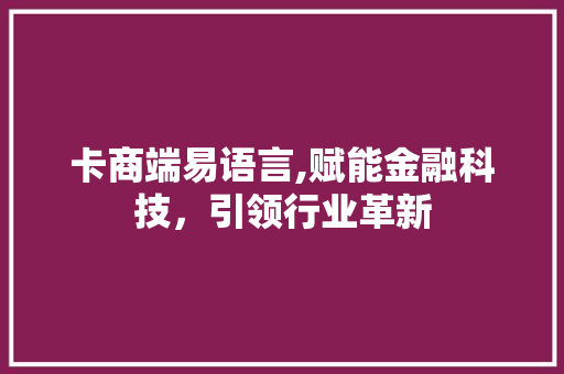 卡商端易语言,赋能金融科技，引领行业革新