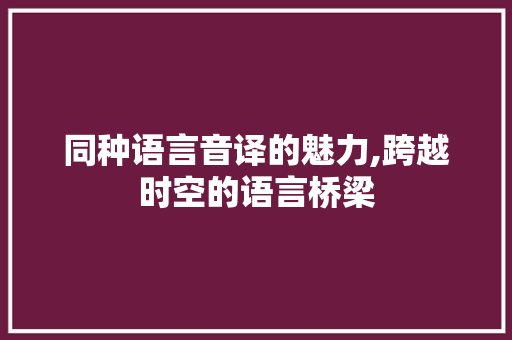 同种语言音译的魅力,跨越时空的语言桥梁