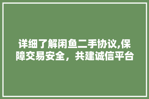 详细了解闲鱼二手协议,保障交易安全，共建诚信平台