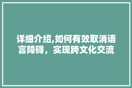 详细介绍,如何有效取消语言障碍，实现跨文化交流