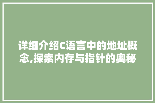 详细介绍C语言中的地址概念,探索内存与指针的奥秘