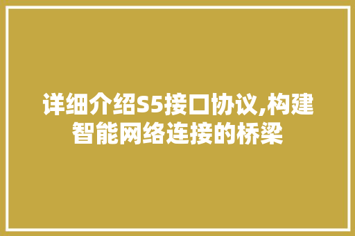 详细介绍S5接口协议,构建智能网络连接的桥梁