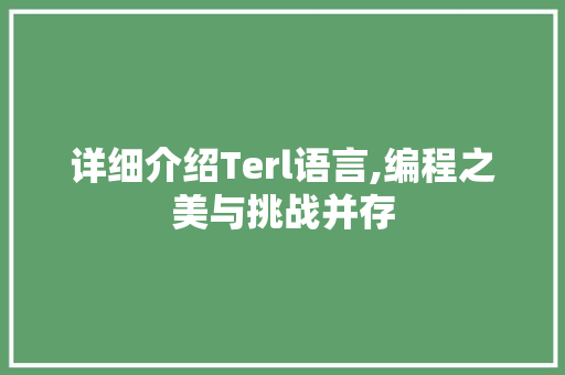 详细介绍Terl语言,编程之美与挑战并存