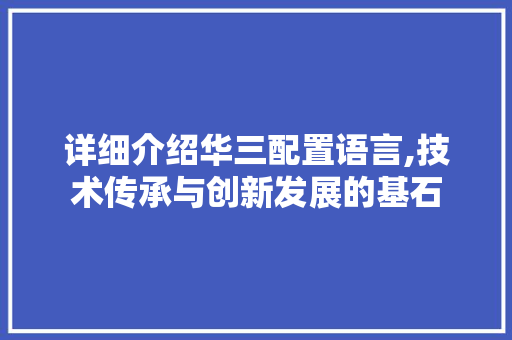 详细介绍华三配置语言,技术传承与创新发展的基石