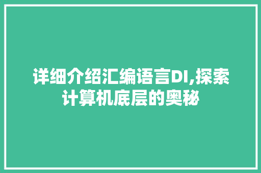 详细介绍汇编语言DI,探索计算机底层的奥秘