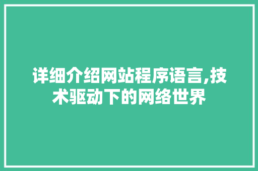 详细介绍网站程序语言,技术驱动下的网络世界