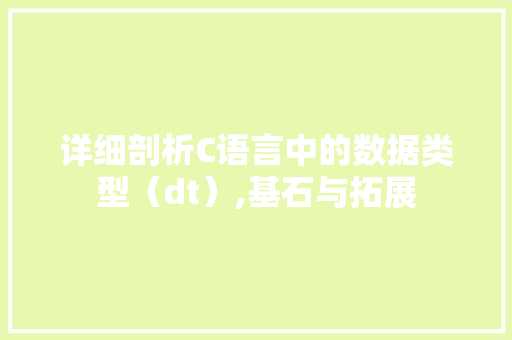 详细剖析C语言中的数据类型（dt）,基石与拓展