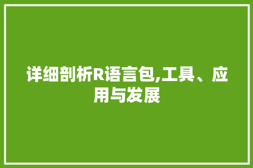 详细剖析R语言包,工具、应用与发展