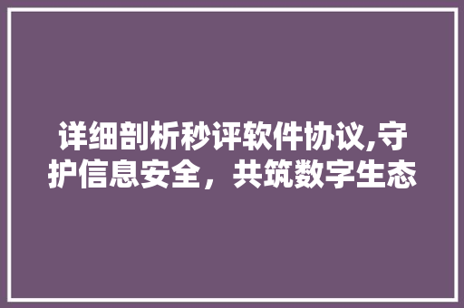 详细剖析秒评软件协议,守护信息安全，共筑数字生态