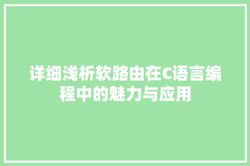 详细浅析软路由在C语言编程中的魅力与应用