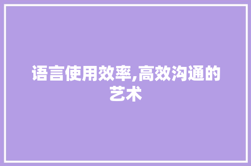 语言使用效率,高效沟通的艺术